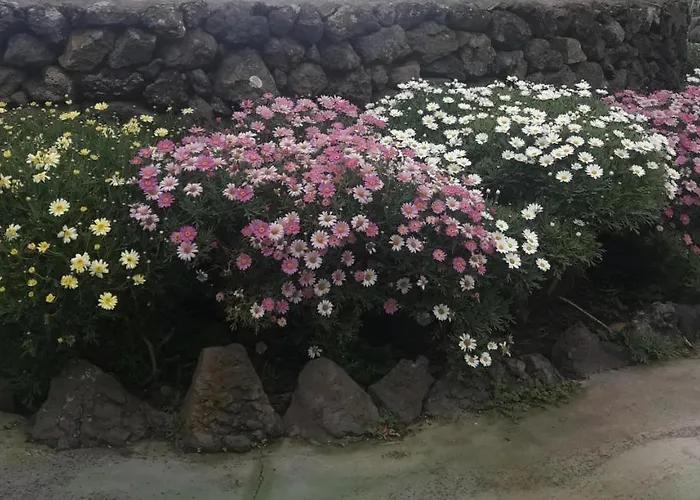 Casa El Vallito 別荘 Guarazoca